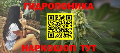 гидра Нальчик