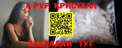 гидра Нальчик